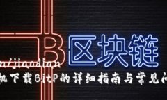 jiaodian/jiaodian安卓手机下载